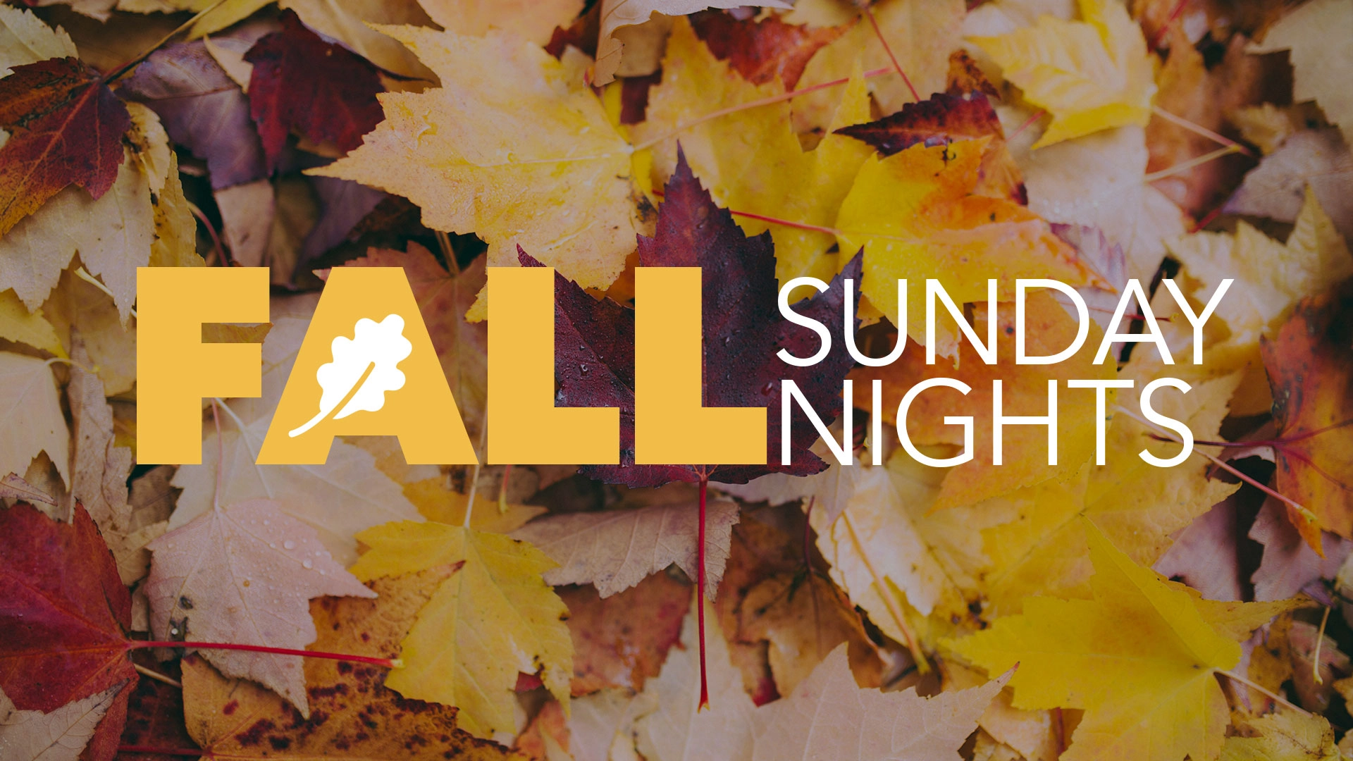 discipleship-fall-sunday-nights-main